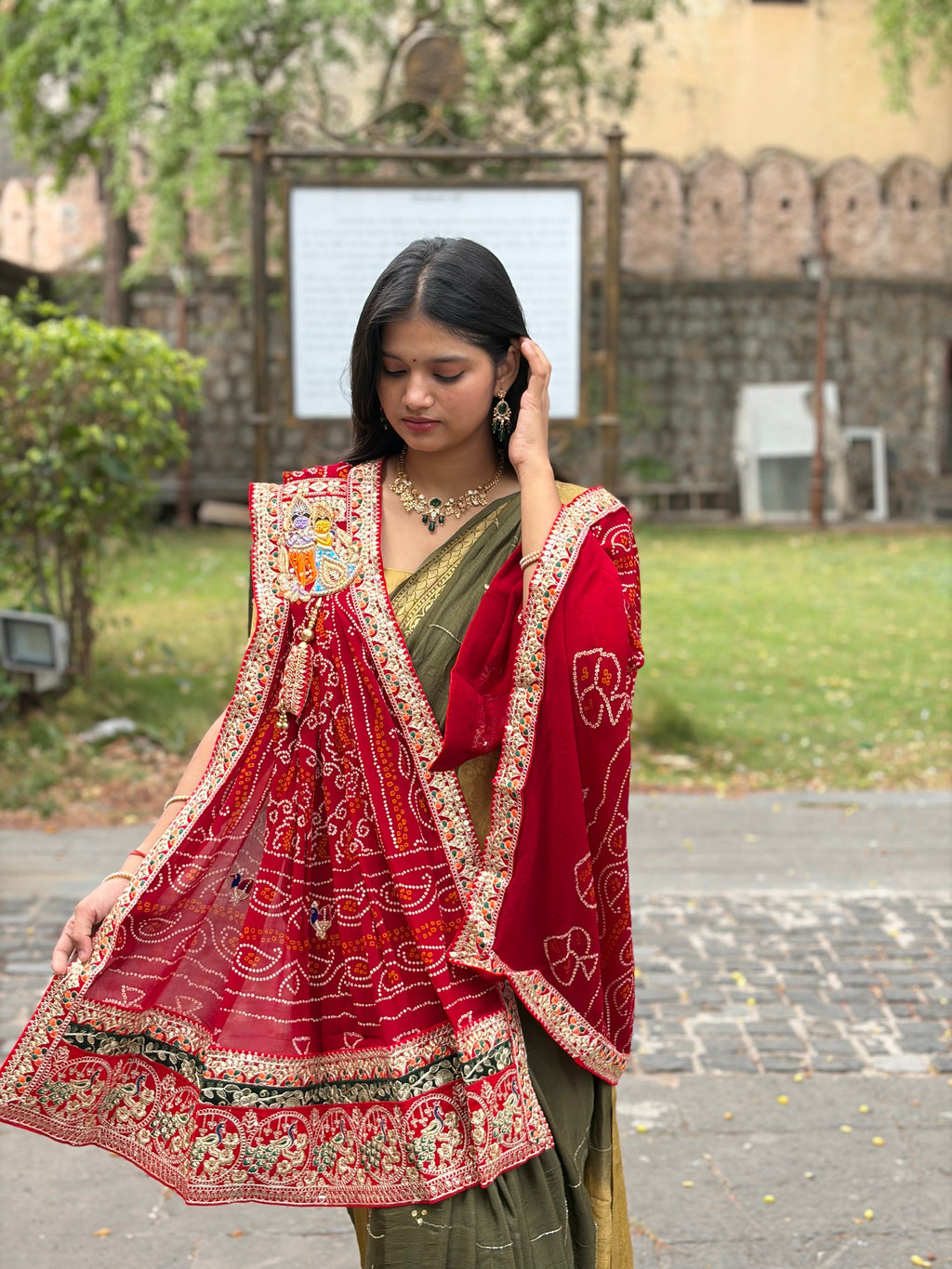 Surmayi Odhna