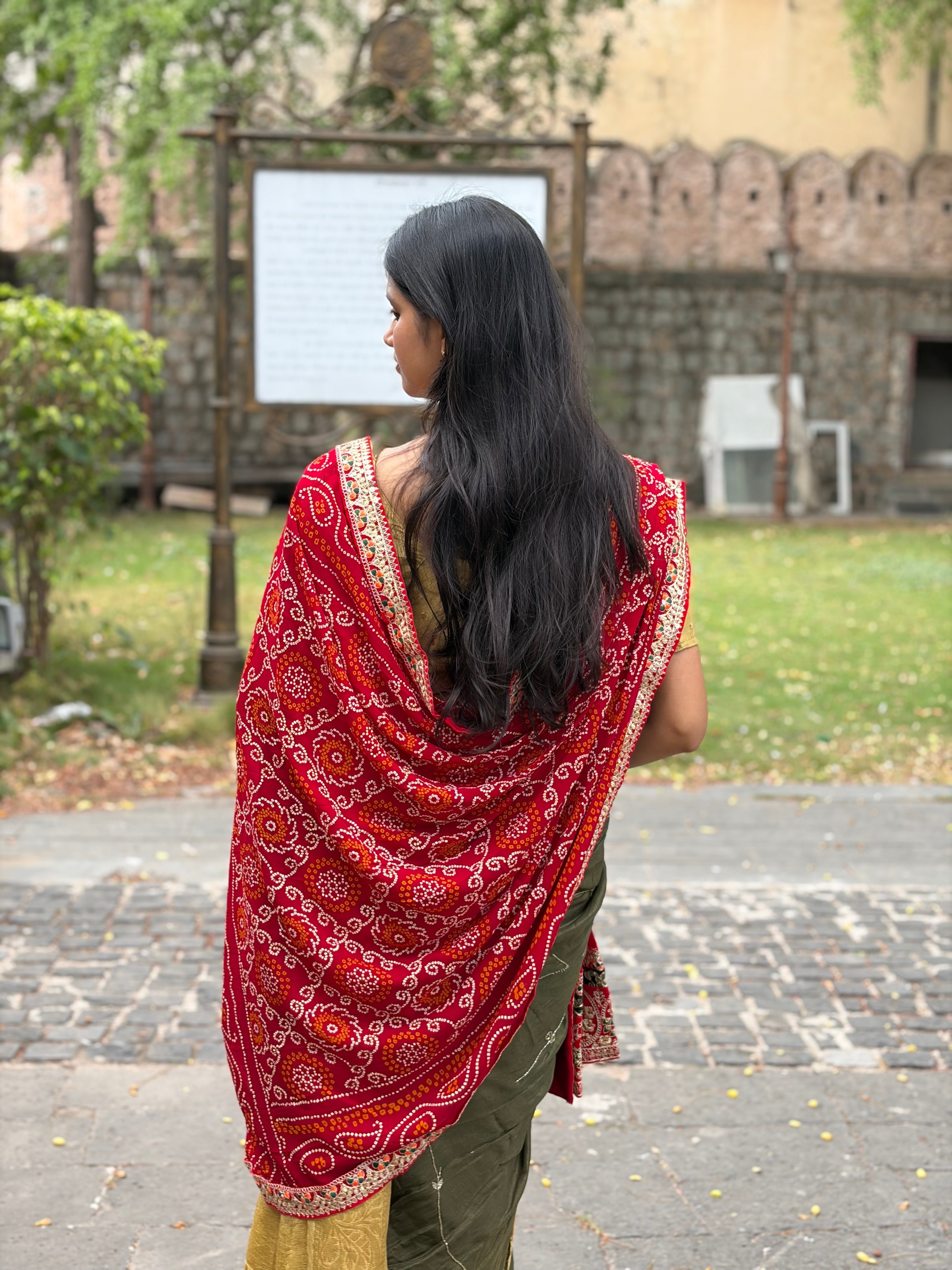Surmayi Odhna